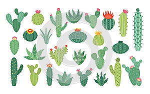 Cactus flowers set. Arizona icons of blossom desert cacti, cute mexican plants, prickly succulents and ficuses. Exotic