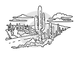 Cactus Forest Scenic Drive in Saguaro National Park Arizona Monoline Line Art Drawing