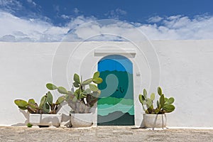 Cactus in front of white wall and mediterranean door in Ostuni, Italy