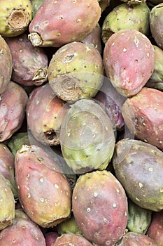 Cactus fruits ( called also as Opuntia ficus-indica, Indian fig opuntia, Barbary fig, prickly pear ) or tuna.