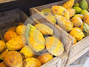 Cactus fruits in crate