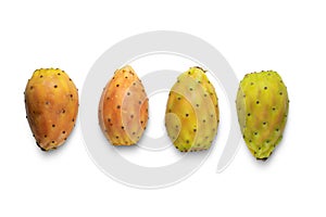 Cactus fruits isolated on a white background