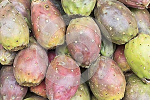 Cactus fruits, Opuntia ficus-indica, Indian fig opuntia, Barbary fig, prickly pear ) or tuna.