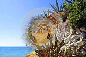 Cactus garden on Armacao De Pera Beach