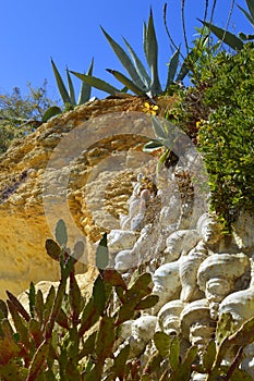 Cactus garden on Armacao De Pera Beach