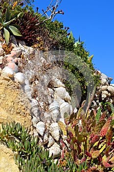 Cactus garden on Armacao De Pera Beach