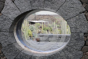 Cactus Garden, Lanzarote, Spain