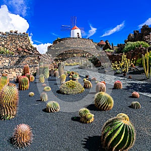 Cactus garden- popular attraction in Lanzarote, Canary island