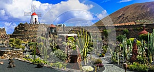 Cactus garden - popular touristic attraction in Lanzarote, Cana