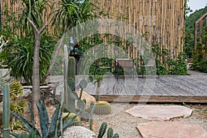 Cactus garden by wooden chairs and table with bamboo building