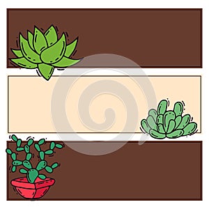 Cactus home nature card vector illustration of green plant cactaceous tree with flower