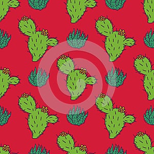 Cactus home nature vector illustration of green plant cactaceous tree with flower seamless pattern background