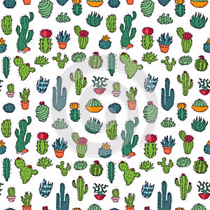 Cactus home nature vector illustration of green plant cactaceous tree with flower seamless pattern background