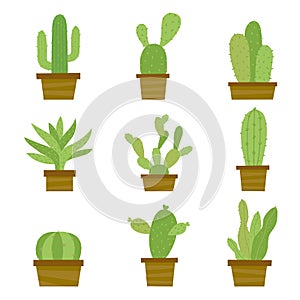 Cactus Icon Flat Design Element Plants Pot Flower Prickle Cartoon Vector