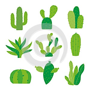 Cactus Icon Flat Design Element Plants Pot Flower Prickle Cartoon Vector