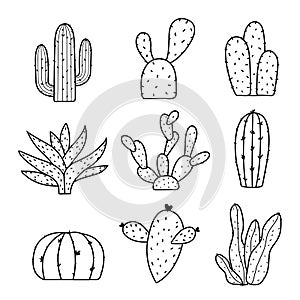 Cactus Icon Flat Design Element Plants Pot Flower Prickle Cartoon Vector