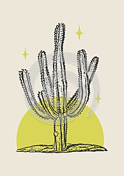 Cactus illustration wild west desert vintage design. Sahuaro plant photo