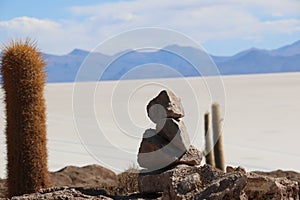 Cactus on Isla Incahuasi