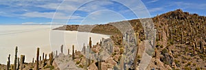 Cactus Island Incahuasi in Uyuni Salt Flats