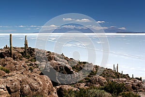 Cactus Island, Salar de Uyuni