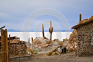 Cactus island in Salar de Uyuni, Bolivia, salt desert