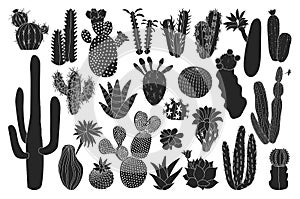 Cactus isolated black set icon. Vector illustration mexican cacti on white background. Vector black set icon cactus with