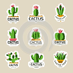 Cactus logo. Stylized wild perky plans with spike recent vector templates badges with place for text