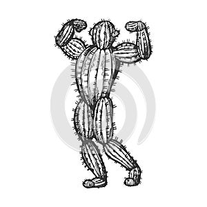Cactus man posing sketch engraving vector