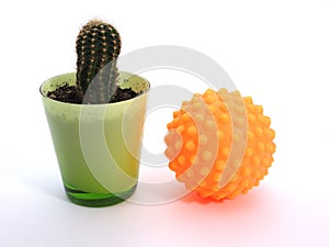 Cactus and massage ball - pain and relief