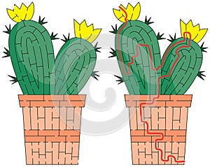 Cactus maze