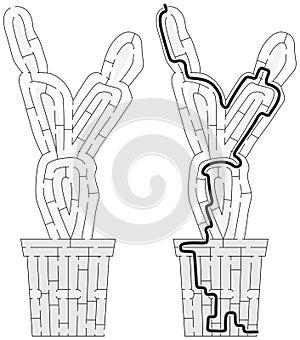 Cactus maze