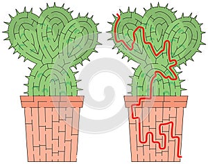 Cactus maze