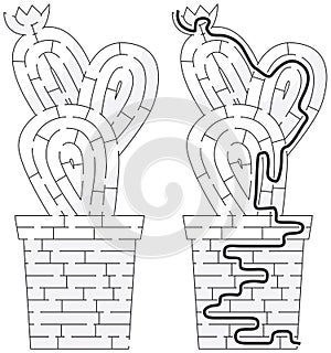 Cactus maze