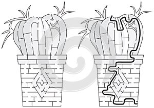 Cactus maze