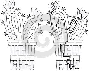 Cactus maze
