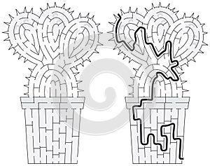 Cactus maze