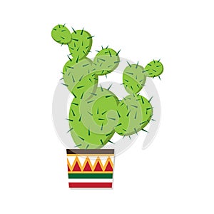 Cactus. Mexican froral, vector illustration. Cinco de Mayo.