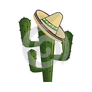 Cactus with mexican hat with thorns photo