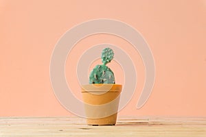 Cactus. Minimal creative stillife on wooden table and pastel orange background.