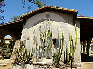 Cactus at Mission San Juan Capistrano photo