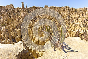 Cactus Moon Valley geological formations bizzare, La Paz cliffs