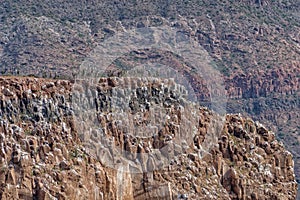 Cactus and mountains panorama Baja California Sur Rocks desert landscape view cortez sea