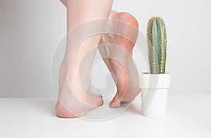 Cactus near the legs of the girl on a white background. Concept of stitching pains and discomfort in human legs and feet