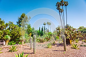 Cactus park at beverly gardens park