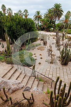 Cactus Park at Montjuic hill at Barcelona photo