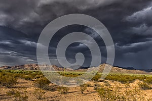 Cactus park before rain