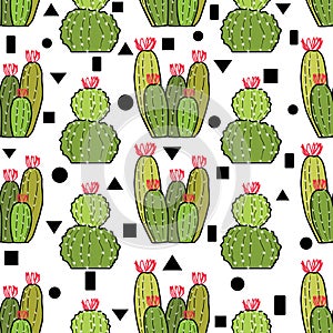 Cactus pattern with geometric