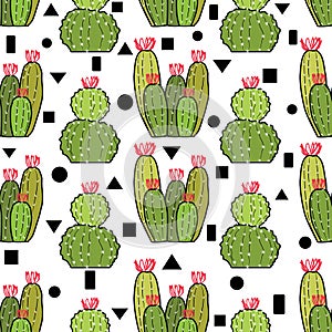 Cactus pattern with geometric photo