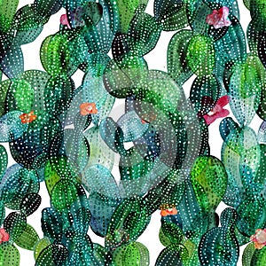 Cactus pattern in watercolor style