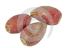 Cactus pears isolated